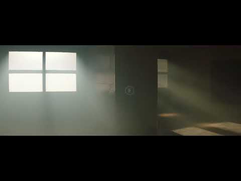 PLN -L' AMMONIAQUE 2018