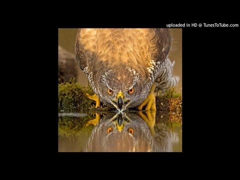 Anna Poráčová-Nepidu ja za Kovaľa