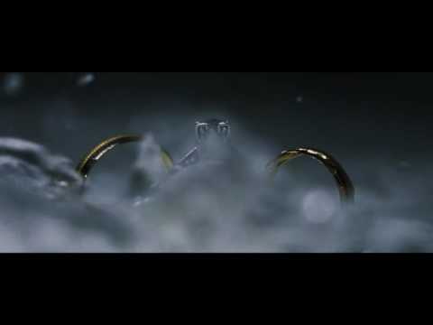 Edmar and Grace SDE (10.01.16)