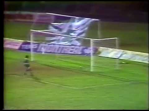 Aguinaldo Luiz Sorato (Vasco) - 29/04/1991 - Palmeiras 2x2 Vasco - 1 gol
