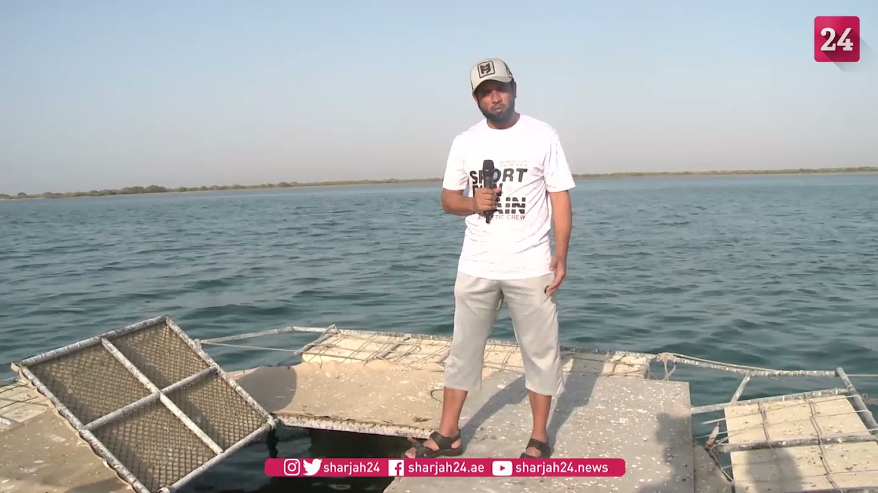 صورة بعنوان: Youtube Image