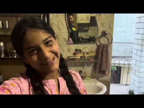 Fight between 2 dangerous cats