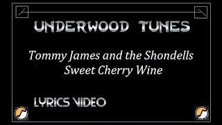 Tommy James and the Shondells ~ Sweet Cherry Wine ~ 1969 ~ w/lyrics