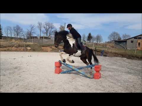 Stangen- und Cavalettiarbeit