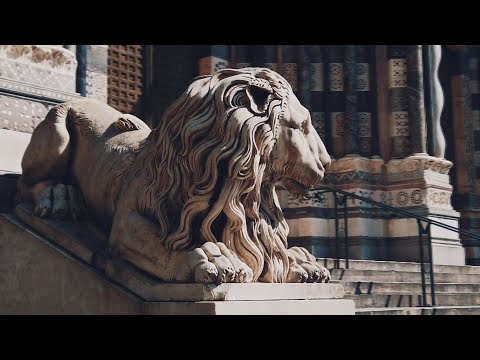 Video thumbnail for Animal