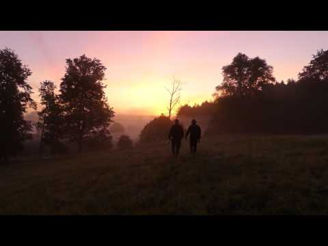 Faszinierende Hirschbrunft in Masuren! Fascinating deer rut in Masuria!