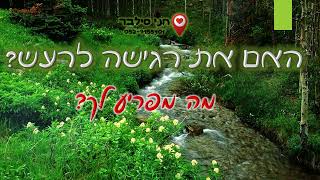אם את רגישה לרעש. מה מפריע לך? | חני סילבר מומחית להעצמה אישית טיפולית 0527155401