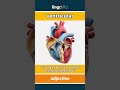 ventricular - something that has to do with... video thumbnail