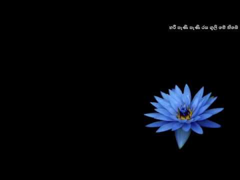 Hari Peni Peni   Darmadasa Walpola   Salli Malli Salli 1958 හරි පැණි පැණි රස ගුලි මේ තිබේ