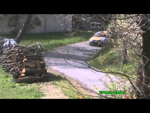 Rally delle Due Torri 2014