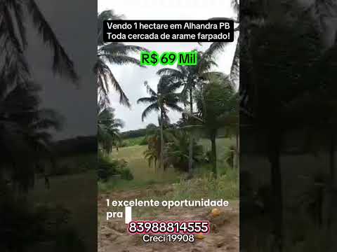 Vendo 1 hectare em Alhandra Pb  fácil acesso a BR 101 para João Pessoa ou Recife por 69 mil