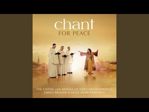 Traditional: Missa pro Pace - Alleluia: Lauda, Jerusalem