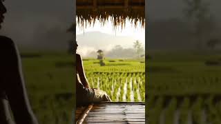 Download lagu Gadis cantik kehujanan berteduh di pondok tengah sawah #vidioshort #love mp3
