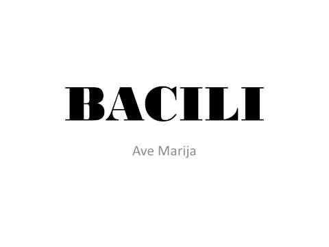 BACILI - Ave Marija