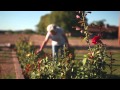 Life History Video Reel