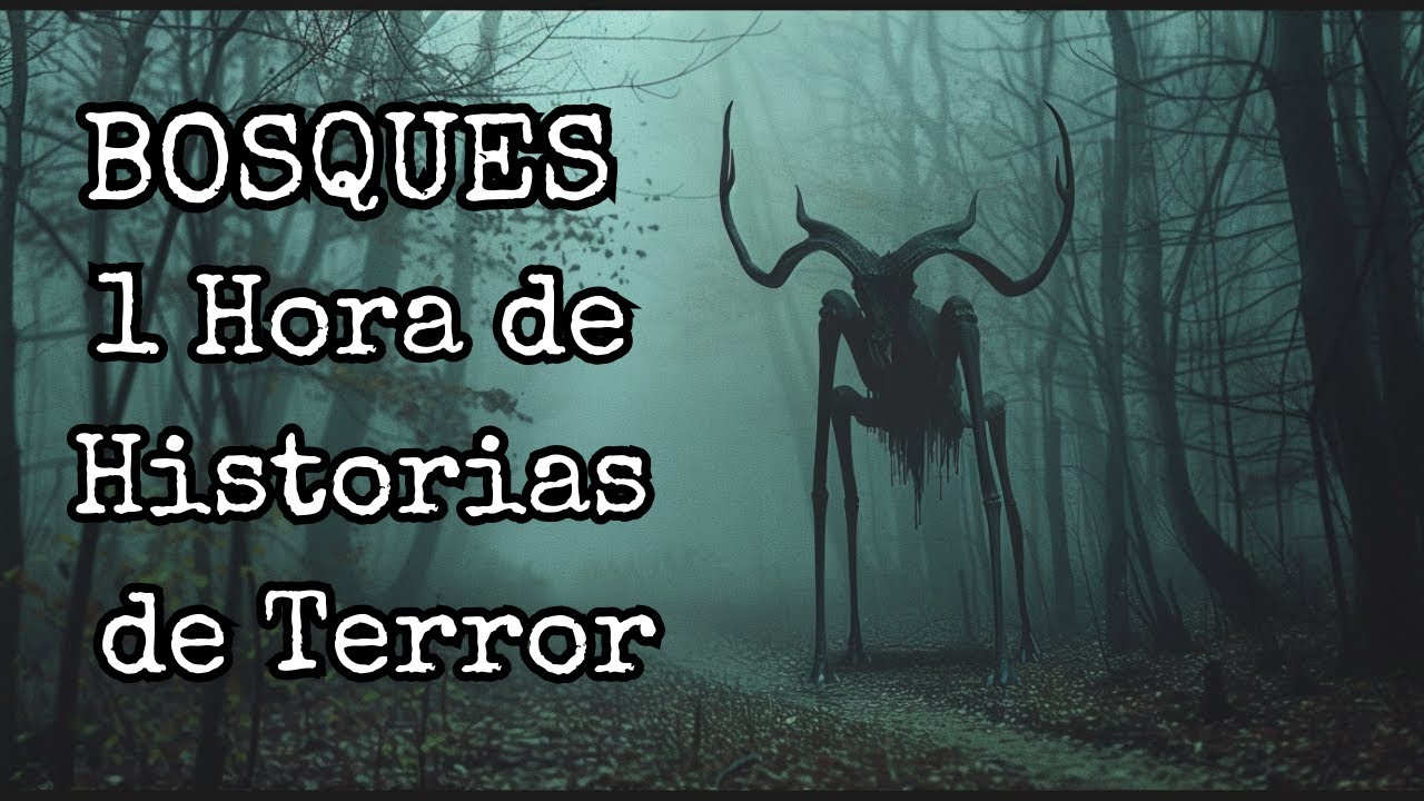 1 HORA DE HISTORIAS DE TERROR EN BOSQUES (Compilación)