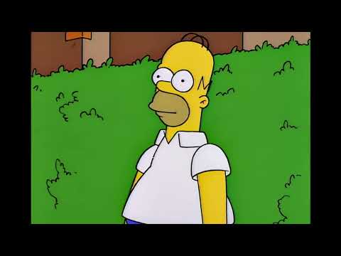 Die Simpsons - Homer verschwindet in Hecke