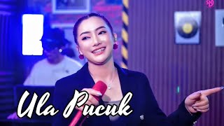 Download lagu ULA PUCUK - SUSI NGAPAK ( Live Civer X oQinawa ) mp3