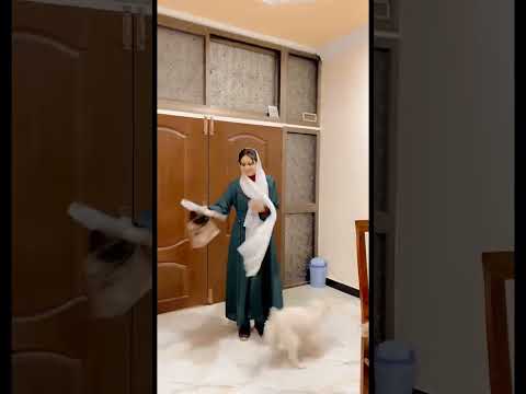 Dog reaction when her owner came to home 🏡 🐶 #aqsa #dogshorts #dog ##doglover #dogslife #dogs