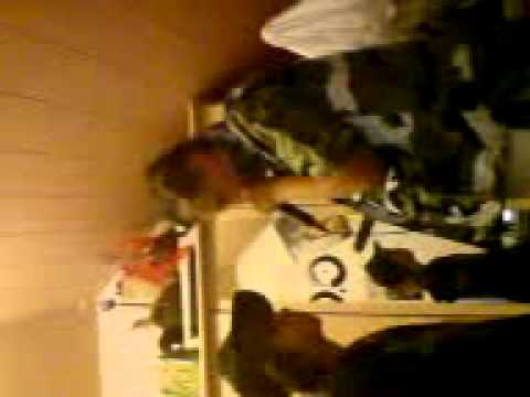 Alberto .vs. Rocko fake.3GP