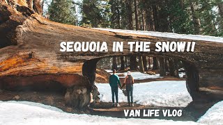 Sequoia & Kings Canyon in Winter! | Van Vlog #16