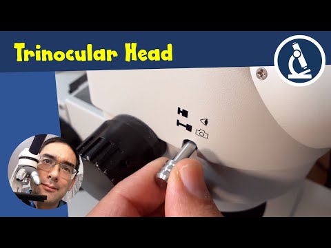 🔬 What are phototube ratios? | Amateur Microscopy