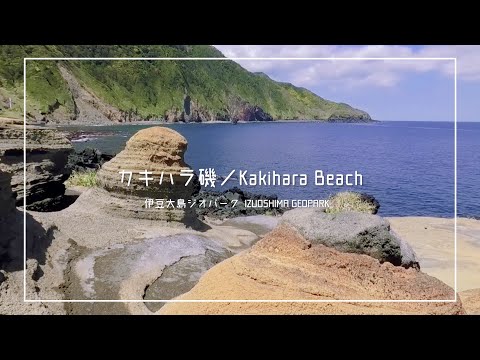 伊豆大島ジオパーク／カキハラ磯（7分） Kakihara Beach, IZUOSHIMA GEOPARK, Tokyo, Japan (7min.)