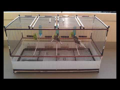 comment construire une cage a oiseaux