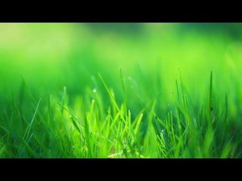 Teisėjai treniruojasi