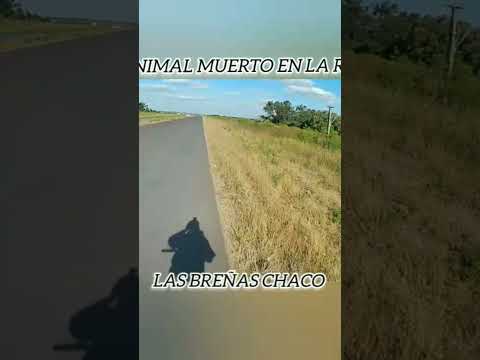 las breñas chaco #povs #yosoydelos7mil #video #shortvideo #video #leyendas