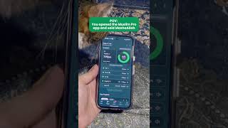 Download lagu New Prayer Times Look mp3