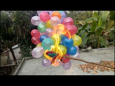 NEW TRICK.......HAPPY BIRTHDAY TO YOU AKHI