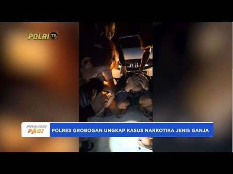 POLRES GROBOGAN UNGKAP KASUS GANJA