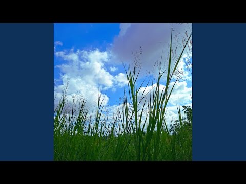 Tout Donner (Best Part)