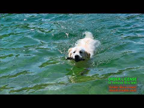 Vom Lago del Ciul zum Lago di Redona und bis unterhalb von Meduno.