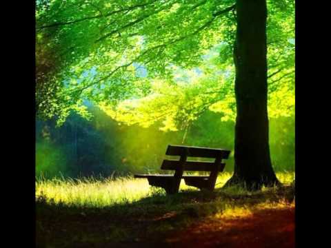 Slow Train - Naturally