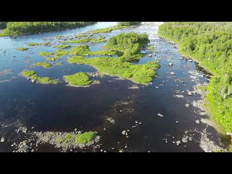 Gander River Newfoundland just before First POND