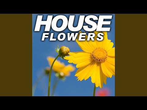 Shine On Me (feat. Max Urban) (Radio Electro Edit)