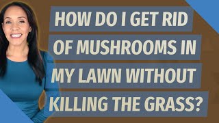How do I get rid of mushrooms in my lawn without killing the grass?