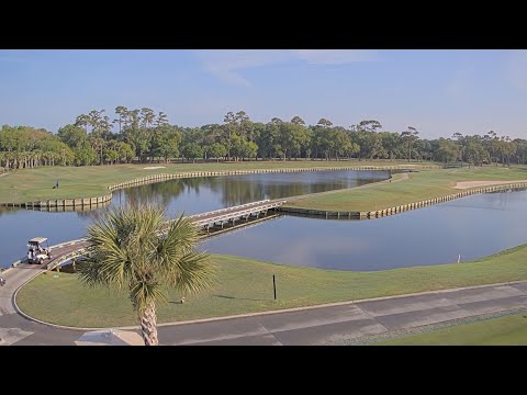 Heron Point by Pete Dye Livestream — Hilton Head Island