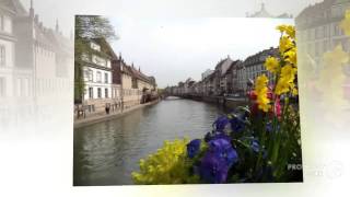 preview picture of video 'Travel Services Wichita KS | (316) 686-2900 | Cruise Holidays of Wichita'