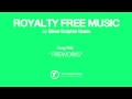 Royalty Free Music - Fireworks by Silver Dolphin ...