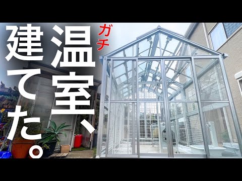 園芸 設備の整った小さな温室