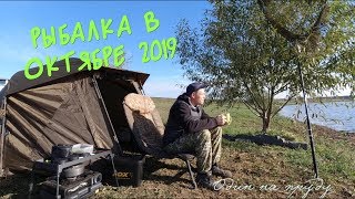 Где и как ловить карпа в октябре