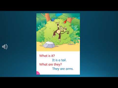 Dolphin readers  Monkeying around