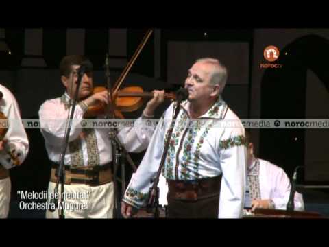 Constantin Rotaru- Stai mai frate lautar.