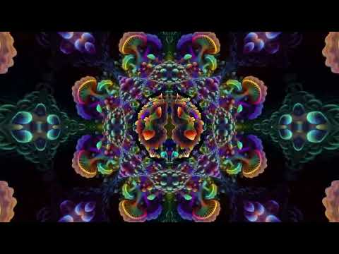 Magik & Ingrained Instincts - Fungus