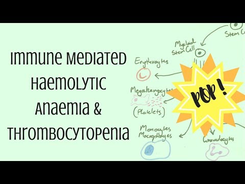 Immune Mediated Haemolytic Anaemia & Thrombocytopenia