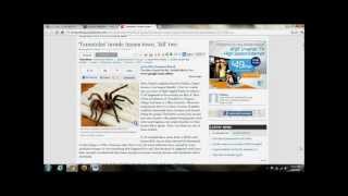 SPIDERS INVADE AND ATTACK TOWN LEAVING 2 PEOPLE DEAD