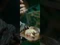 Thayya Thayya Uyire Dilse 1998 Full Screen HD Whatsapp Status Tamil